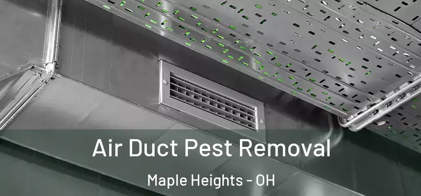  Air Duct Pest Removal Maple Heights - OH