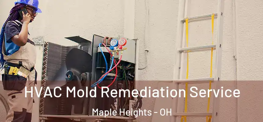 HVAC Mold Remediation Service Maple Heights - OH