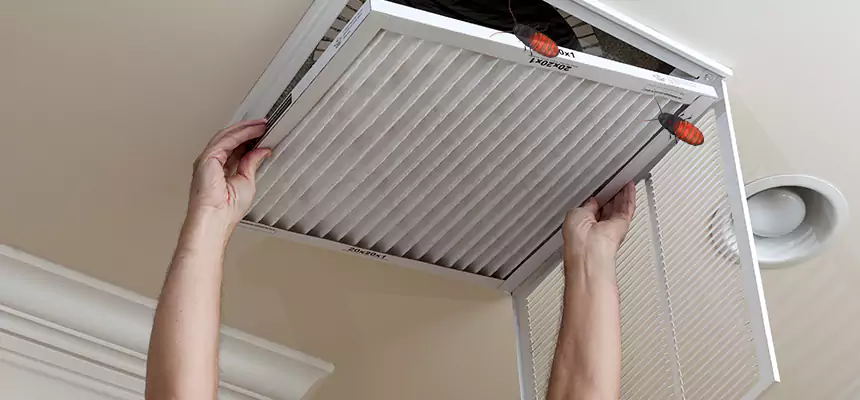 Preventive Cockroach-Proofing for Ducts in Maple Heights