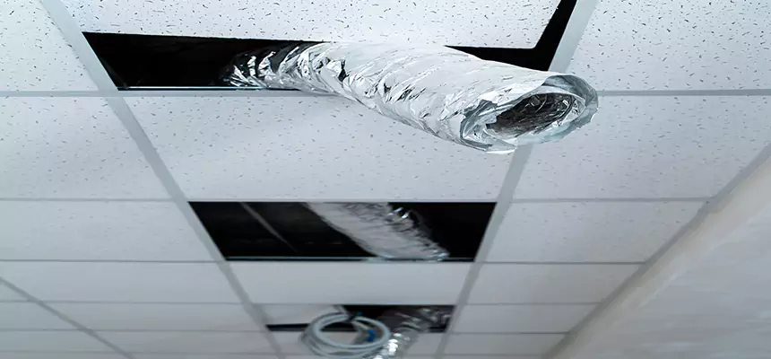 Our Air Duct Pet Hair Removal Services in Maple Heights, OH