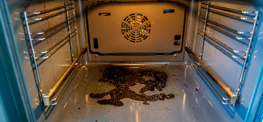 Our Dryer Vent Mold Cleaning Services in Maple Heights, OH