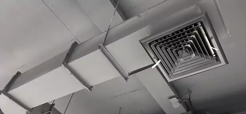 Our Pest Removal From Ducts Services in Maple Heights, OH