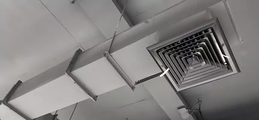 Our Rodent Droppings In Vents Services in Maple Heights, OH