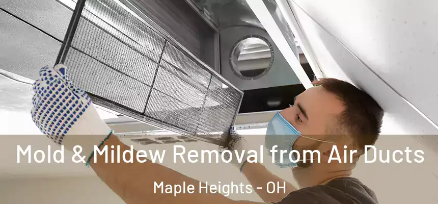 Mold & Mildew Removal from Air Ducts Maple Heights - OH