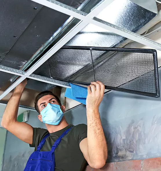 About Air Duct Bacteria Removal in Maple Heights
