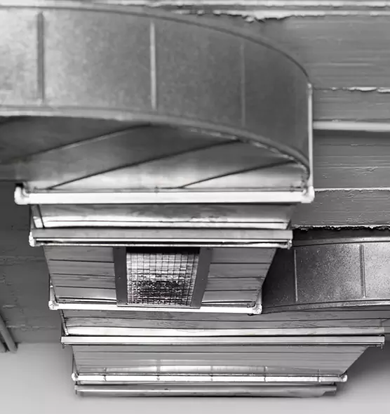 Professional Air Duct Pet Hair Removal in Maple Heights, OH