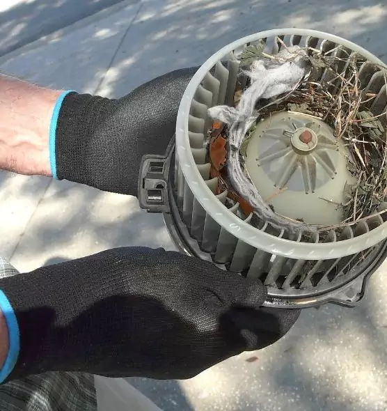 About Air Duct Rat Removal in Maple Heights, OH