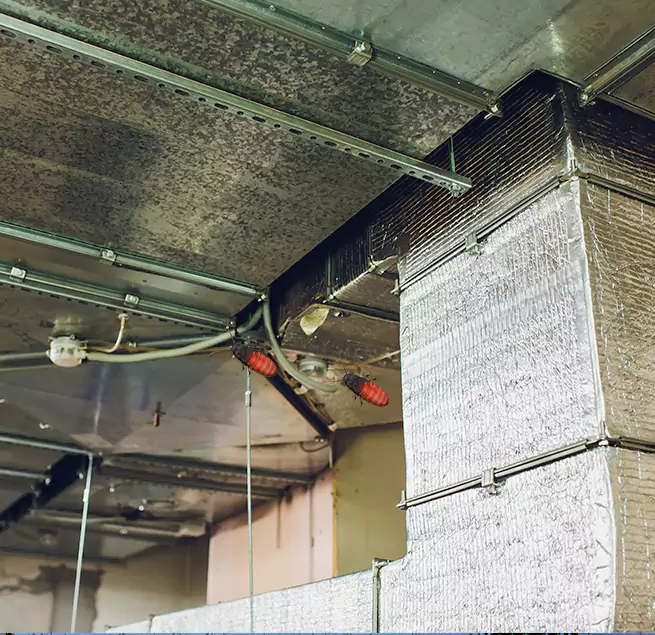 Why Homeowners & Businesses Trust Us in Maple Heights, OH?