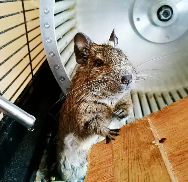 Why Homeowners & Businesses Trust Us Maple Heights, OH