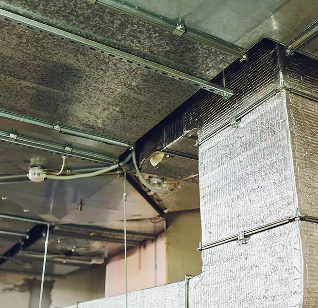 Why Homeowners & Businesses Trust Us in Maple Heights, OH?